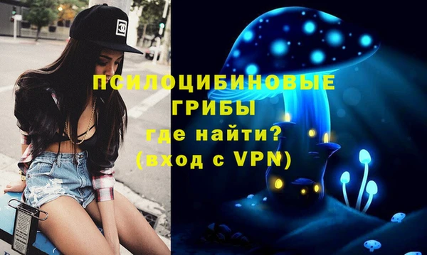 дживик Волосово