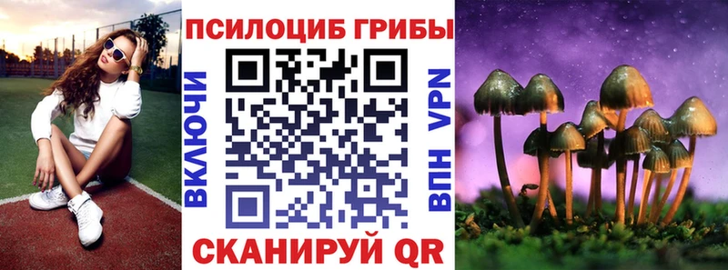 Купить закладки  Красновишерск  Псилоцибиновые грибы мицелий 